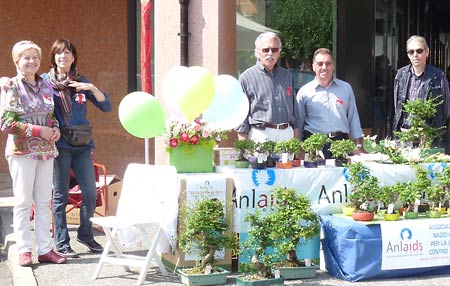Volontari di Anima Universale per BONSAI ANLAIDS Volontari di Anima Universale per BONSAI ANLAIDS