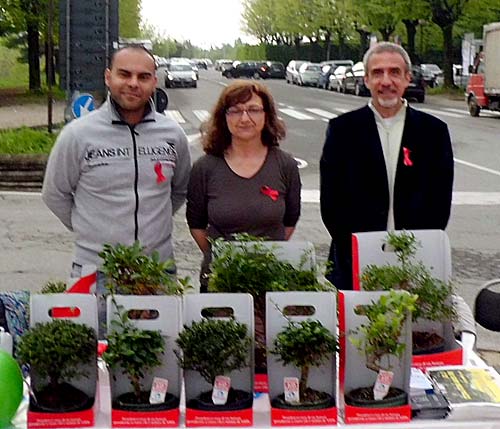 Volontari della Chiesa Anima Universale per Bonsai Anlaids Volontari della Chiesa Anima Universale per Bonsai Anlaids
