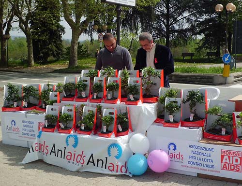 Volontari della Chiesa Anima Universale per Bonsai Anlaids Volontari della Chiesa Anima Universale per Bonsai Anlaids