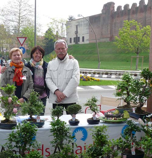 Volontari della Chiesa Anima Universale per Bonsai Anlaids Volontari della Chiesa Anima Universale per Bonsai Anlaids
